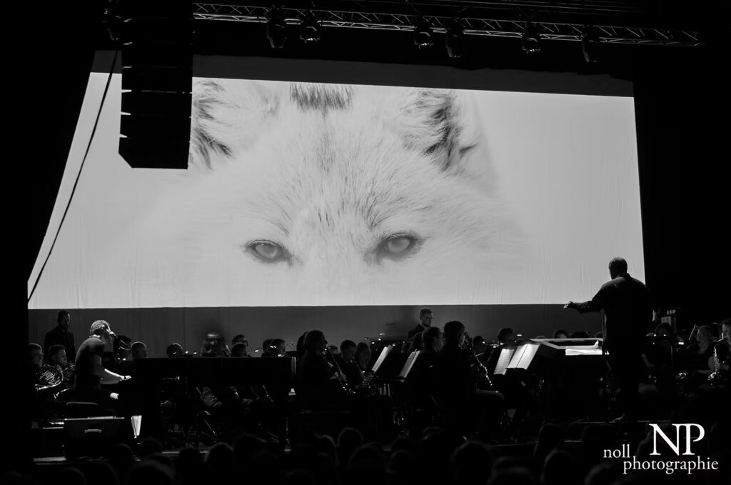 Rougge and the OHV Orchestra performing live, with a white wolf projected on a large screen